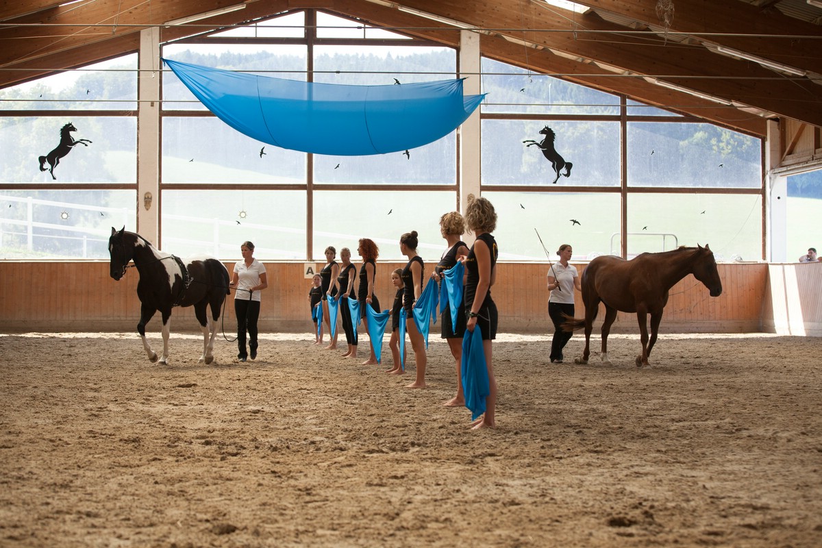 NHT Academy