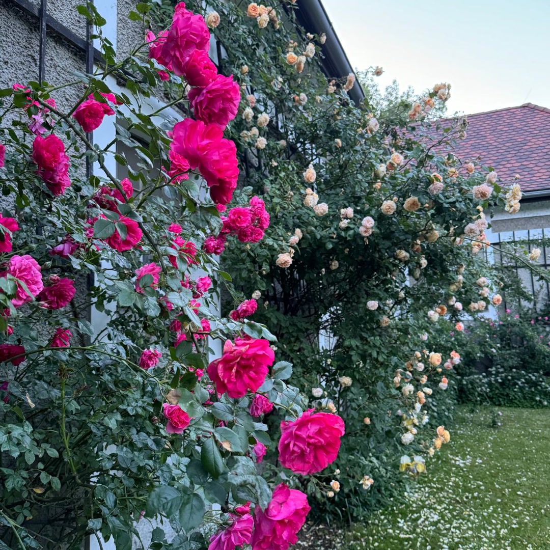 Schweizerhof