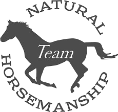 Natural Horsemanship Team