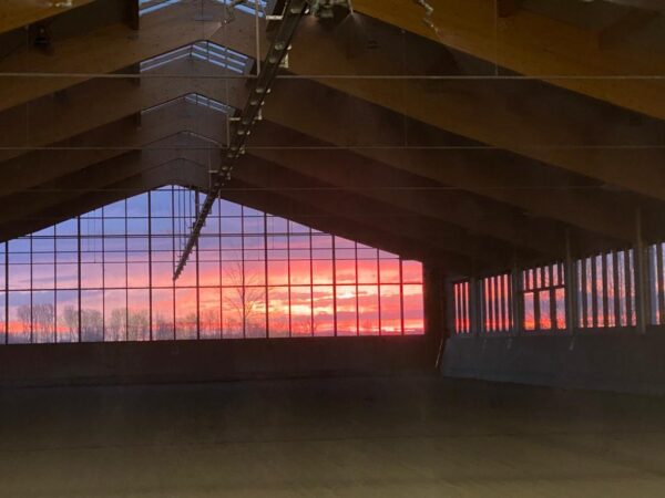 WhatsApp Image 2025-11-06 at 20.55.50 (3)