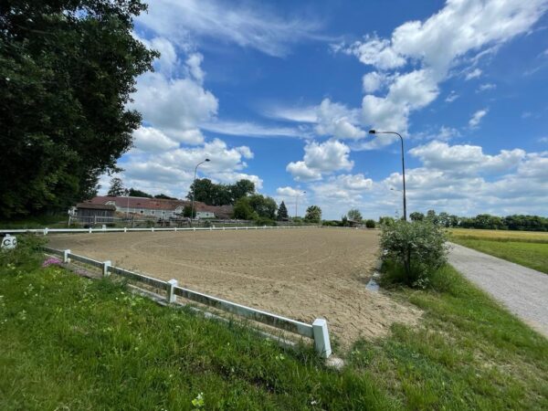 WhatsApp Image 2025-11-06 at 20.55.50 (6)