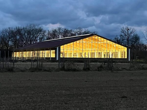 WhatsApp Image 2025-11-06 at 21.08.09 (1)