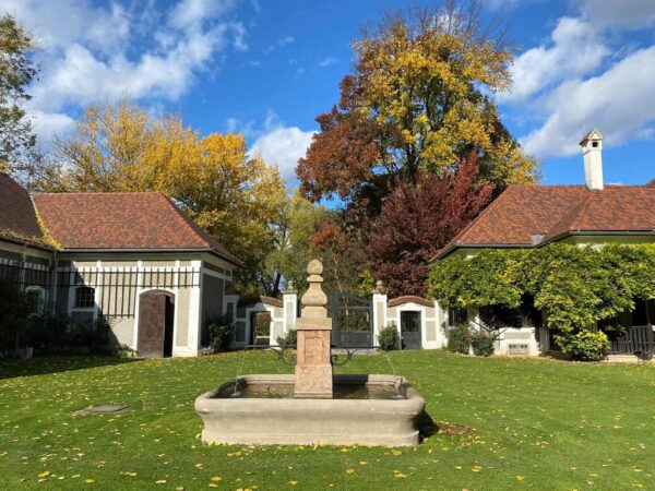 WhatsApp Image 2025-11-06 at 21.08.09 (2)