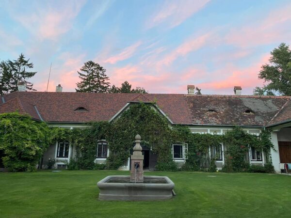 WhatsApp Image 2025-11-06 at 21.08.10 (8)